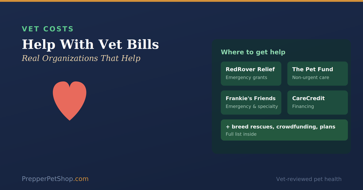Vet bill assistance guide: real organizations that help pay vet bills including RedRover Relief, The Pet Fund, Frankie's Friends, and CareCredit